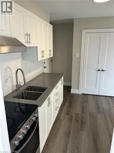 169 David Street Unit# 1, Kitchener, ON - Indoor Photo Showing Kitchen With Double Sink
