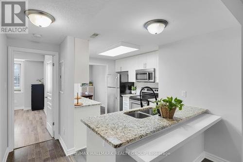 # B - 1067 Beryl Private, Ottawa, ON - Indoor Photo Showing Kitchen With Double Sink