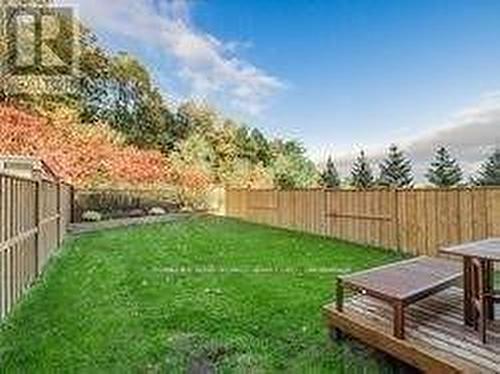 208 Hunting Ridges Grd Drive, Richmond Hill, ON - Outdoor