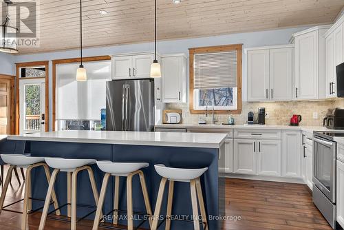 38 Pheasant Street, Kawartha Lakes (Emily), ON - Indoor Photo Showing Kitchen With Upgraded Kitchen