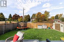 Back Yard - 