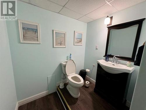 50 Parkwood Drive, Hare Bay, NL - Indoor Photo Showing Bathroom