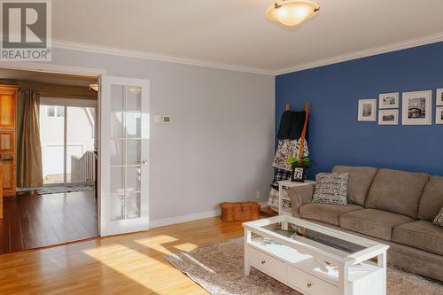 16 Blackwood Drive, Gander, NL - Indoor Photo Showing Living Room