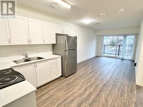 312 - 135 Station Street, Belleville (Belleville Ward), ON - Indoor Photo Showing Kitchen With Double Sink