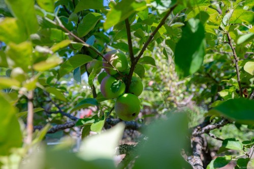 4471 Southgate Rd, Port Alberni, BC 