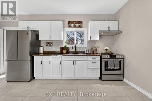 56 Francis Street, Hamilton, ON - Indoor Photo Showing Kitchen With Double Sink