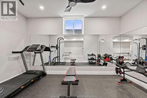 258 Xavier Circle, Lakeshore, ON - Indoor Photo Showing Gym Room