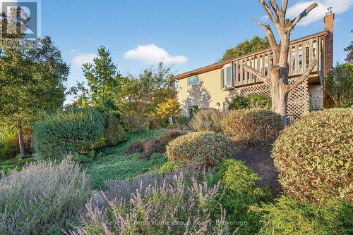 114 Dovercliffe Road, Guelph (Dovercliffe Park/Old University), ON - Outdoor