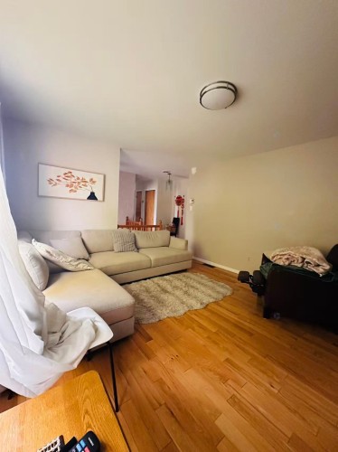 Salon - 35 Rue Des Chrysanthèmes, La Prairie, QC - Indoor