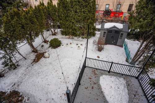 Backyard - 3830  - 3832 Rue De La Peltrie, Montréal (Côte-Des-Neiges/Notre-Dame-De-Grâce), QC - Outdoor