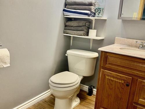 265 Ray Boulevard, Thunder Bay, ON - Indoor Photo Showing Bathroom