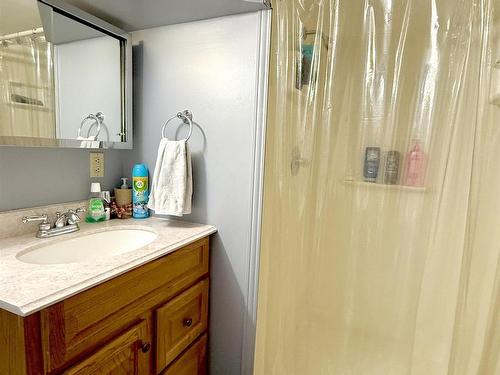 265 Ray Boulevard, Thunder Bay, ON - Indoor Photo Showing Bathroom