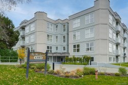 409-1201 Hillside Ave  Victoria, BC V8T 2B1