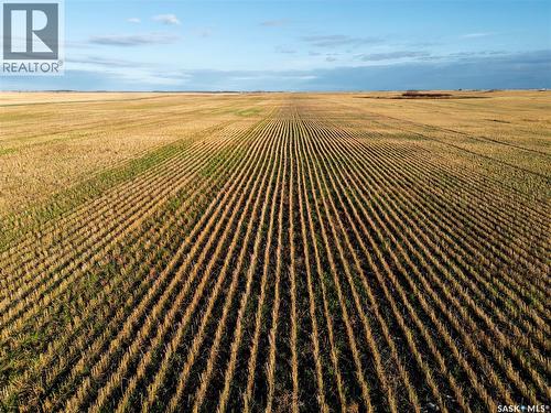 2,326 Acres - Estevan/Macoun, Benson Rm No. 35, SK 