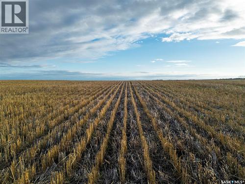 2,326 Acres - Estevan/Macoun, Benson Rm No. 35, SK 