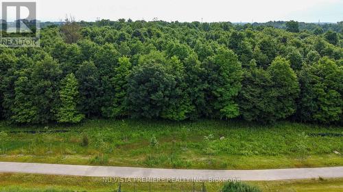 3998 Big Leaf Trail, London South (South V), ON - Outdoor With View