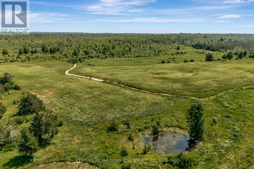 1678 County Road 8 Road, Prince Edward County (North Marysburg Ward), ON 