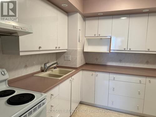 608 - 1785 Frobisher Lane N, Ottawa, ON - Indoor Photo Showing Kitchen With Double Sink