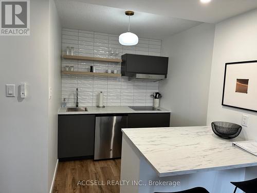608 - 1785 Frobisher Lane N, Ottawa, ON - Indoor Photo Showing Kitchen