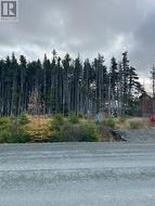 20 Keeley Lane  Portugal Cove - St. Philips, NL None