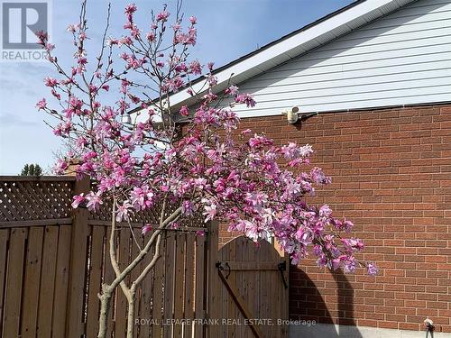 38 Clearview Court, Peterborough (Monaghan Ward 2), ON - Outdoor