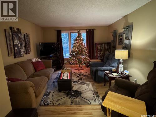 97 Dorothy Street, Regina, SK - Indoor Photo Showing Living Room