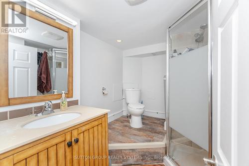 299 Park Avenue, Brantford, ON - Indoor Photo Showing Bathroom