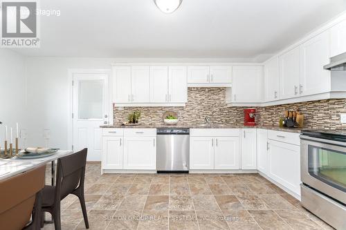 299 Park Avenue, Brantford, ON - Indoor Photo Showing Kitchen With Upgraded Kitchen