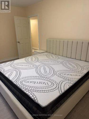 Lower Level - 11 Cantex Court E, Richmond Hill, ON 