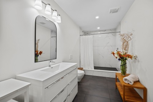 Sous-sol - 20110 Ch. Lakeshore, Baie-D'Urfé, QC - Indoor