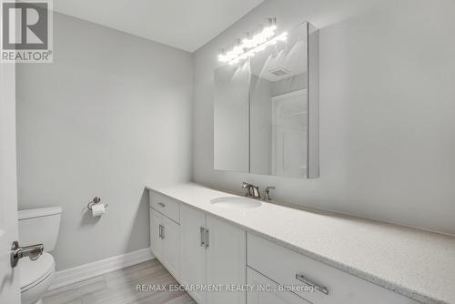 47 Szollosy Circle, Hamilton, ON - Indoor Photo Showing Bathroom