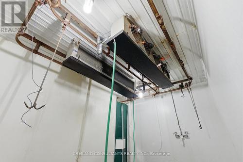 2133 Little Britain Road, Kawartha Lakes, ON 