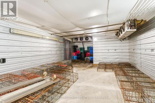 2133 Little Britain Road, Kawartha Lakes, ON 