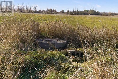 2133 Little Britain Road, Kawartha Lakes, ON 