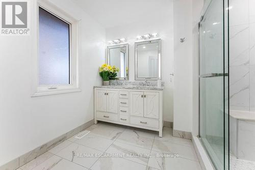 113 Greenshire Drive, Hamilton, ON - Indoor Photo Showing Bathroom