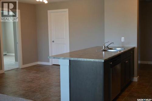 202 2141 Larter Road, Estevan, SK - Indoor Photo Showing Kitchen With Double Sink