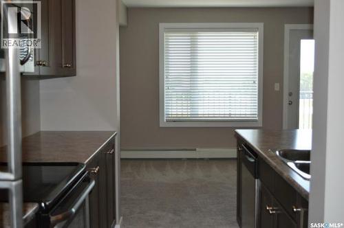 202 2141 Larter Road, Estevan, SK - Indoor Photo Showing Kitchen With Double Sink