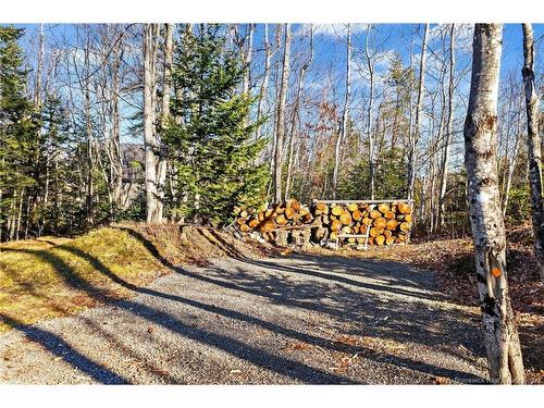 74 Bellefield Rd, Lower Coverdale, NB 