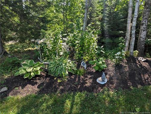 74 Bellefield Rd, Lower Coverdale, NB 