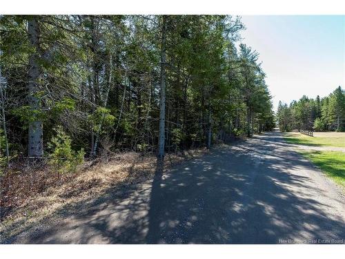 25 Ferry Rd, Jardineville, NB 