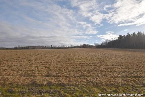 66 Route 636 Rte, Harvey, NB 