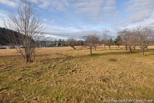 66 Route 636 Rte, Harvey, NB 