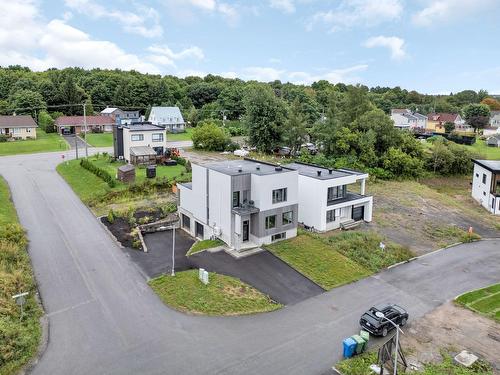 Photo aérienne - 42 Mtée De La Pointe-Aux-Sables, Cap-Santé, QC - Outdoor With View