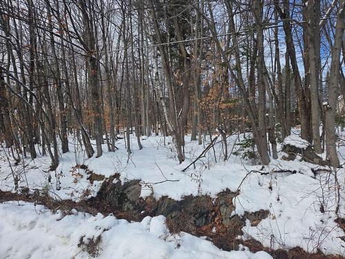 Frontage - Av. Opéra, Saint-Calixte, QC 