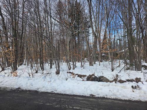 Frontage - Av. Opéra, Saint-Calixte, QC 