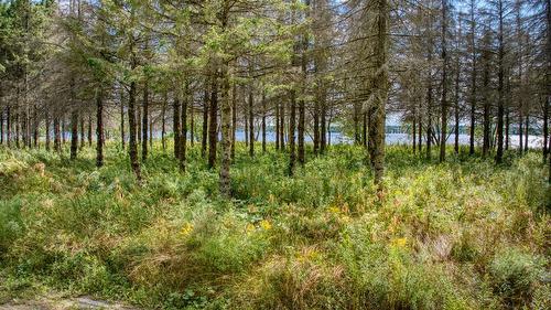 Terre/Terrain - Route Des Outaouais, Brownsburg-Chatham, QC 