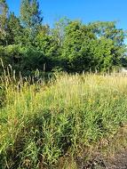 N/A Mark ST  Grafton, NB E7N 1N9