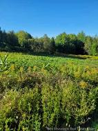 89-38 Parkhurst DR  Grafton, NB E7N 1N6