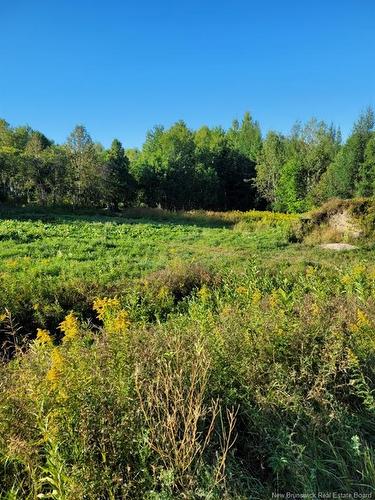 89-38 Parkhurst Dr, Grafton, NB 