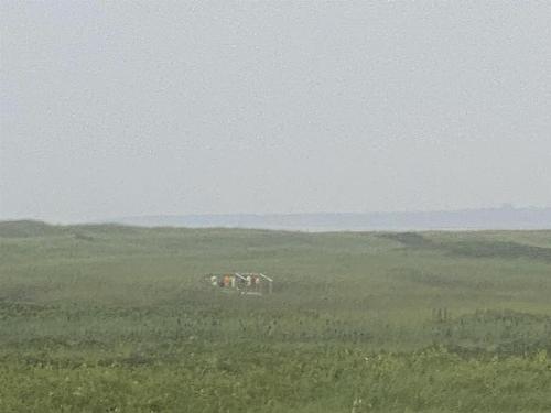 Sands Dunes Lane, Maximeville, PE 